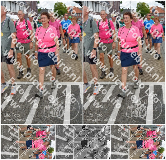 Evenement foto: Nijmeegse Vierdaagse 932