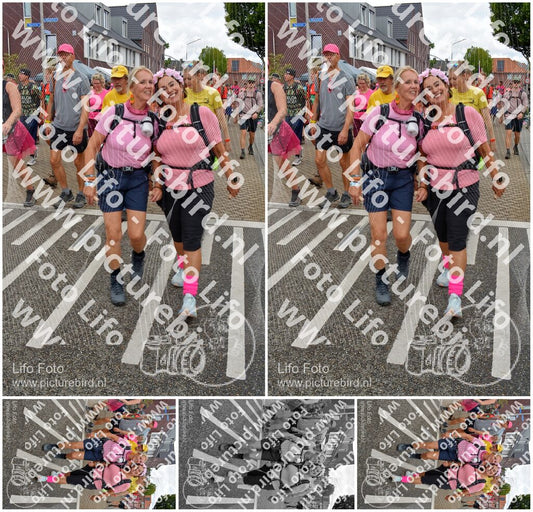 Evenement foto: Nijmeegse Vierdaagse 932