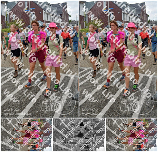 Evenement foto: Nijmeegse Vierdaagse 932