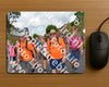 Evenement foto: Nijmeegse Vierdaagse 931