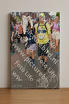 Evenement foto: Nijmeegse Vierdaagse 931