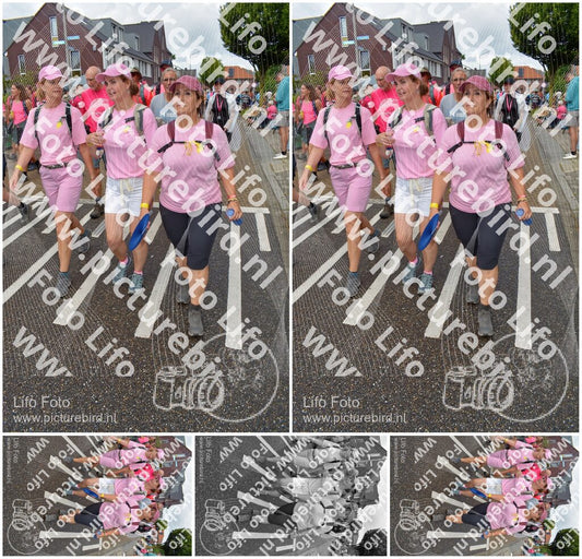 Evenement foto: Nijmeegse Vierdaagse 931