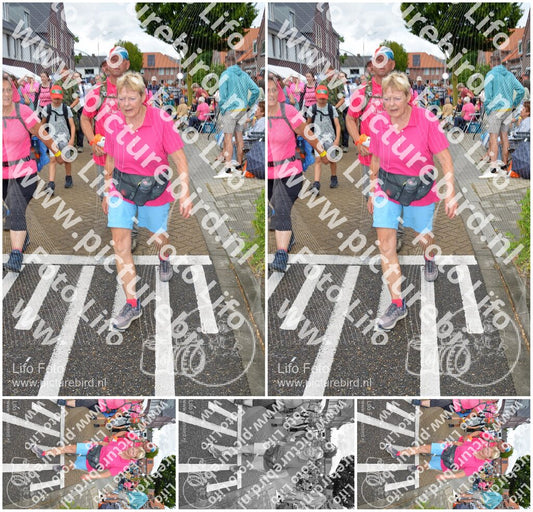 Evenement foto: Nijmeegse Vierdaagse 931