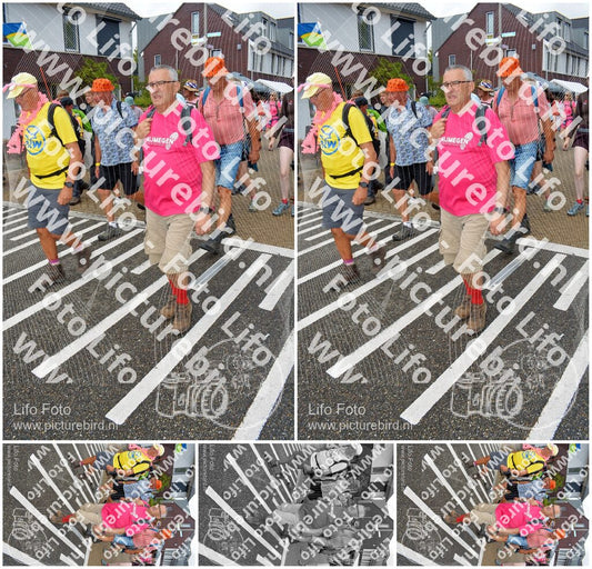 Evenement foto: Nijmeegse Vierdaagse 931