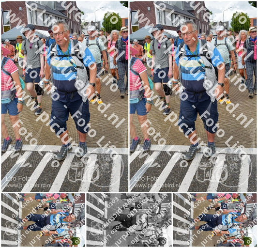 Evenement foto: Nijmeegse Vierdaagse 931