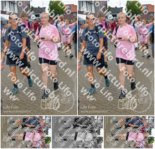 Evenement foto: Nijmeegse Vierdaagse 930