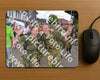Evenement foto: Nijmeegse Vierdaagse 930