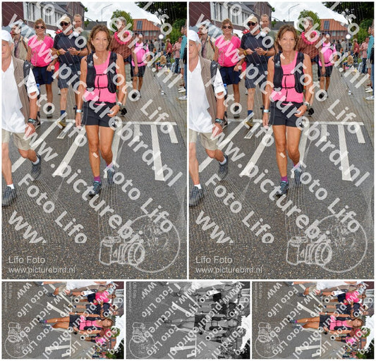 Evenement foto: Nijmeegse Vierdaagse 930