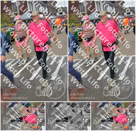 Evenement foto: Nijmeegse Vierdaagse 930