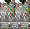 Evenement foto: Nijmeegse Vierdaagse 930