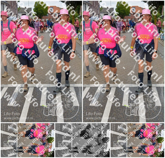 Evenement foto: Nijmeegse Vierdaagse 930