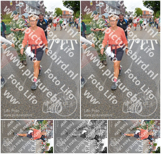 Evenement foto: Nijmeegse Vierdaagse 930