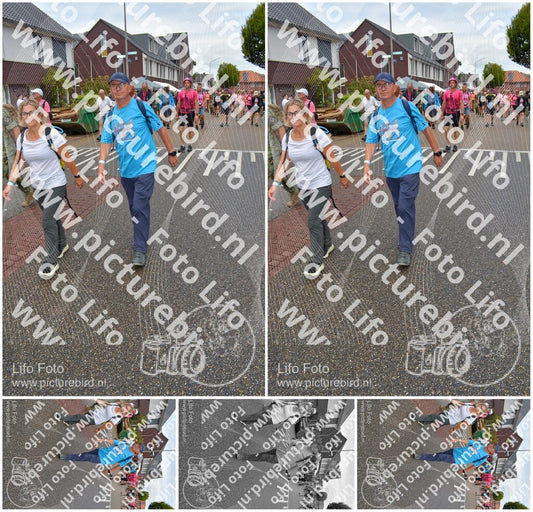 Evenement foto: Nijmeegse Vierdaagse 930