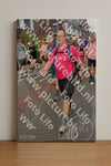 Evenement foto: Nijmeegse Vierdaagse 930