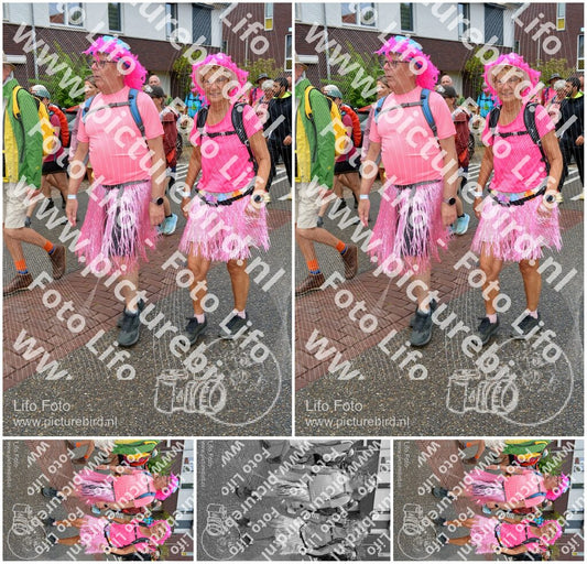 Evenement foto: Nijmeegse Vierdaagse 930