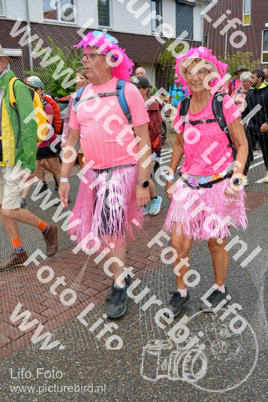 Evenement foto: Nijmeegse Vierdaagse 930
