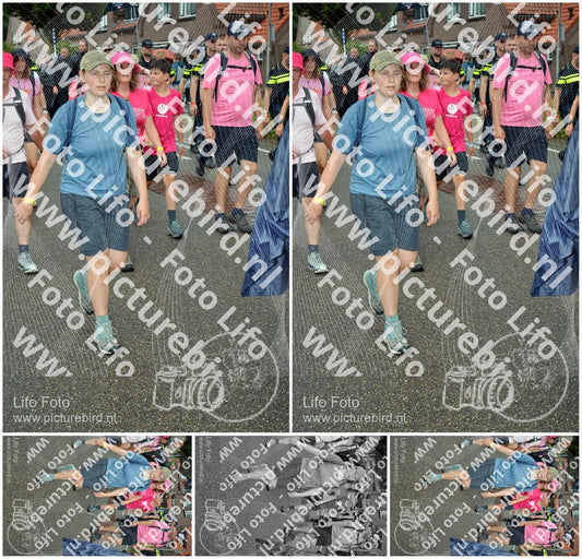 Evenement foto: Nijmeegse Vierdaagse 929