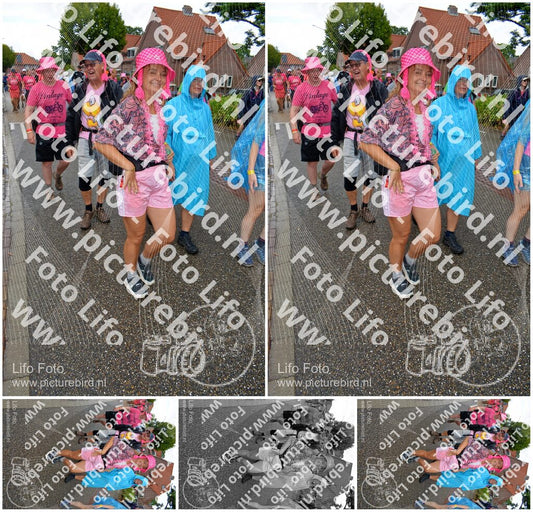 Evenement foto: Nijmeegse Vierdaagse 929