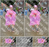 Evenement foto: Nijmeegse Vierdaagse 929