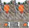 Evenement foto: Nijmeegse Vierdaagse 929