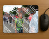 Evenement foto: Nijmeegse Vierdaagse 929