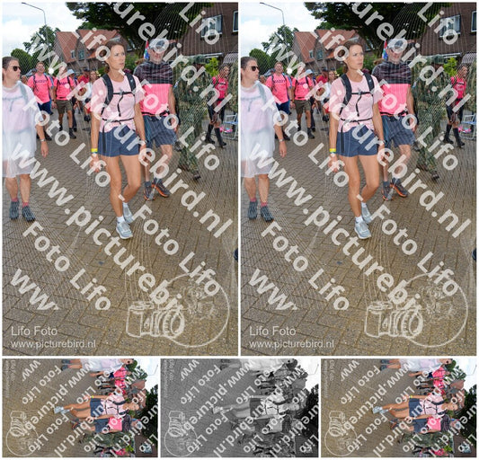 Evenement foto: Nijmeegse Vierdaagse 929