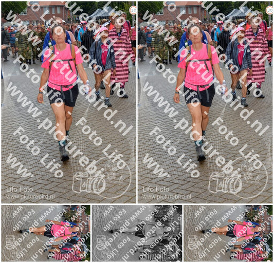 Evenement foto: Nijmeegse Vierdaagse 929