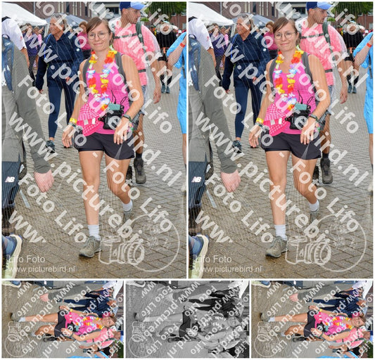 Evenement foto: Nijmeegse Vierdaagse 929