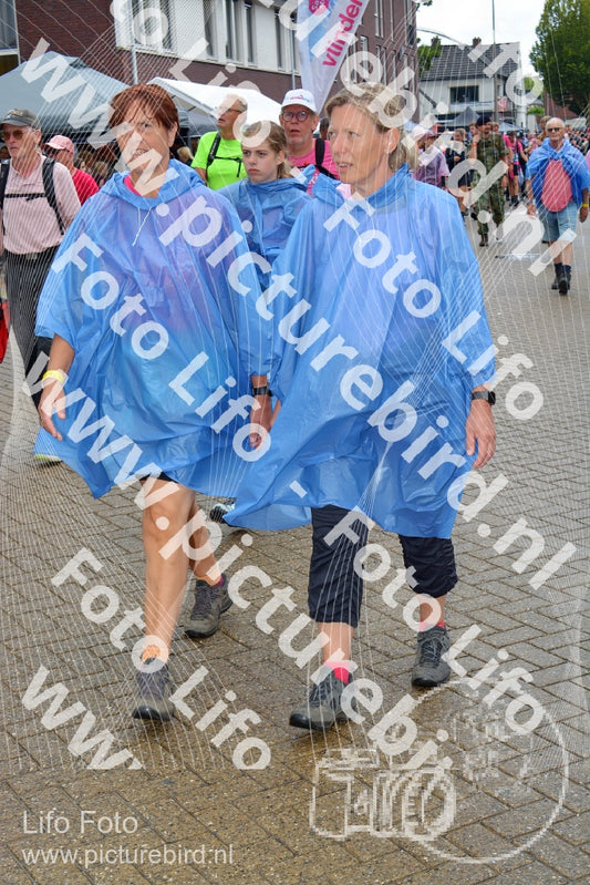 Evenement foto: Nijmeegse Vierdaagse 929