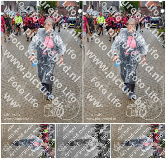 Evenement foto: Nijmeegse Vierdaagse 929