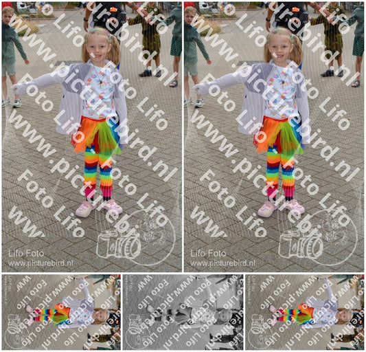 Evenement foto: Nijmeegse Vierdaagse 928