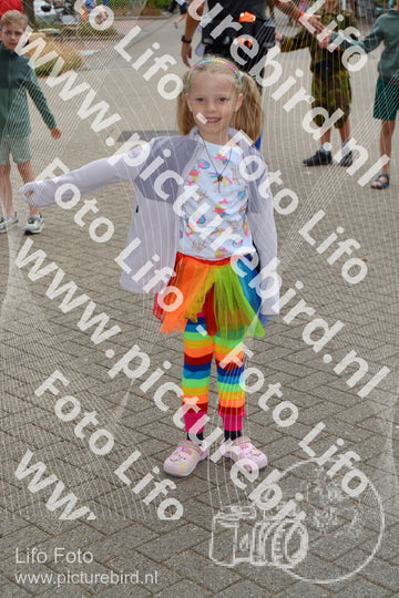 Evenement foto: Nijmeegse Vierdaagse 928