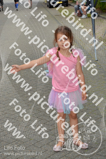 Evenement foto: Nijmeegse Vierdaagse 928