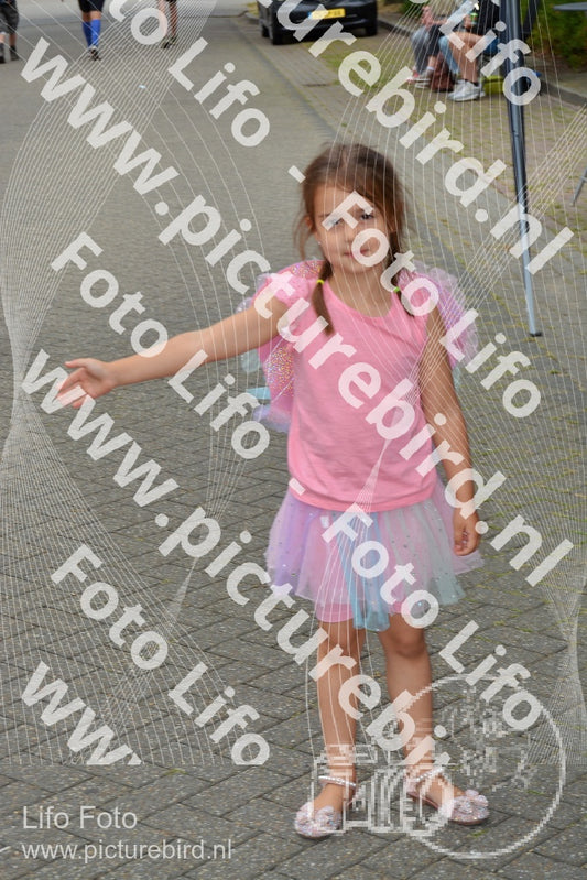 Evenement foto: Nijmeegse Vierdaagse 928
