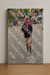 Evenement foto: Nijmeegse Vierdaagse 928