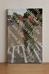 Evenement foto: Nijmeegse Vierdaagse 928