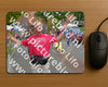 Evenement foto: Nijmeegse Vierdaagse 928