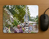 Evenement foto: Nijmeegse Vierdaagse 928