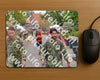 Evenement foto: Nijmeegse Vierdaagse 928