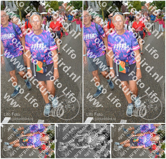 Evenement foto: Nijmeegse Vierdaagse 928