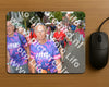 Evenement foto: Nijmeegse Vierdaagse 928