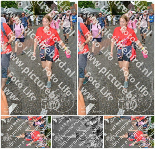 Evenement foto: Nijmeegse Vierdaagse 928