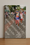Evenement foto: Nijmeegse Vierdaagse 928
