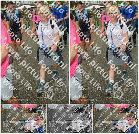 Evenement foto: Nijmeegse Vierdaagse 928
