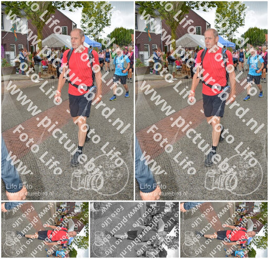 Evenement foto: Nijmeegse Vierdaagse 928