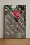 Evenement foto: Nijmeegse Vierdaagse 927