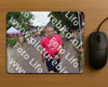 Evenement foto: Nijmeegse Vierdaagse 927