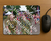 Evenement foto: Nijmeegse Vierdaagse 927