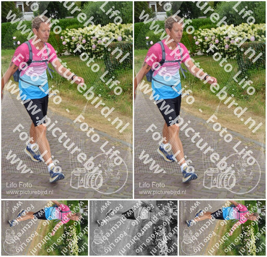 Evenement foto: Nijmeegse Vierdaagse 927
