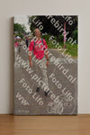 Evenement foto: Nijmeegse Vierdaagse 927
